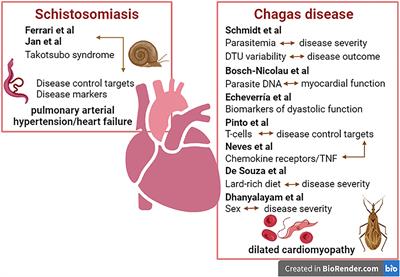 Editorial: Clinical and Molecular Features of Infectious Cardiomyopathies: Implications for Prevention, Treatment and Management